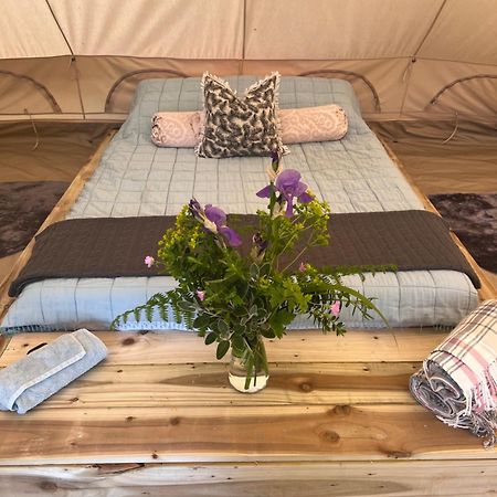 Bluebell Tent At Ballyward Croft Ardkeen Bagian luar foto