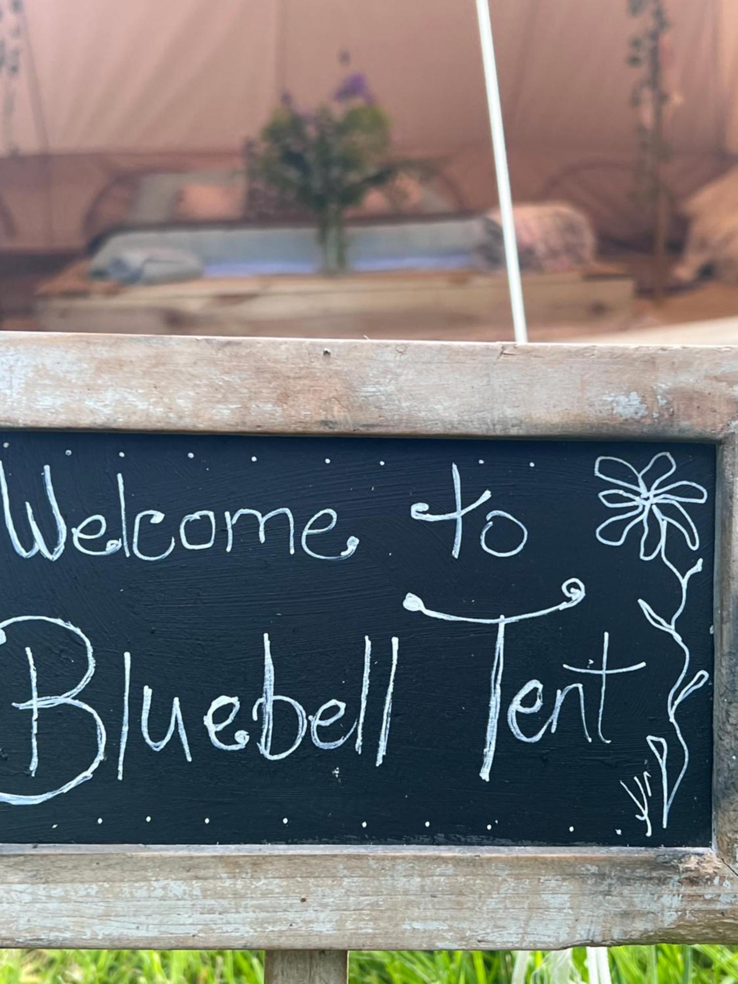 Bluebell Tent At Ballyward Croft Ardkeen Bagian luar foto
