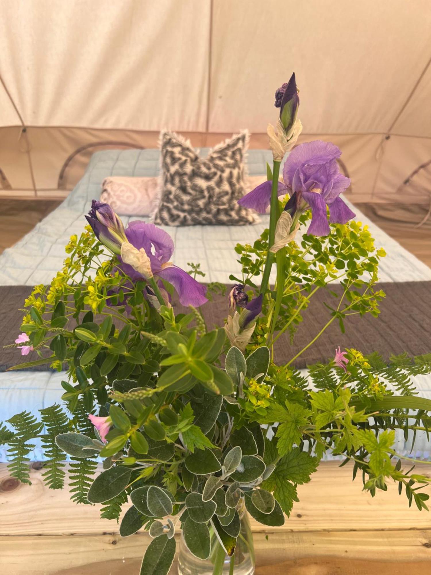 Bluebell Tent At Ballyward Croft Ardkeen Bagian luar foto