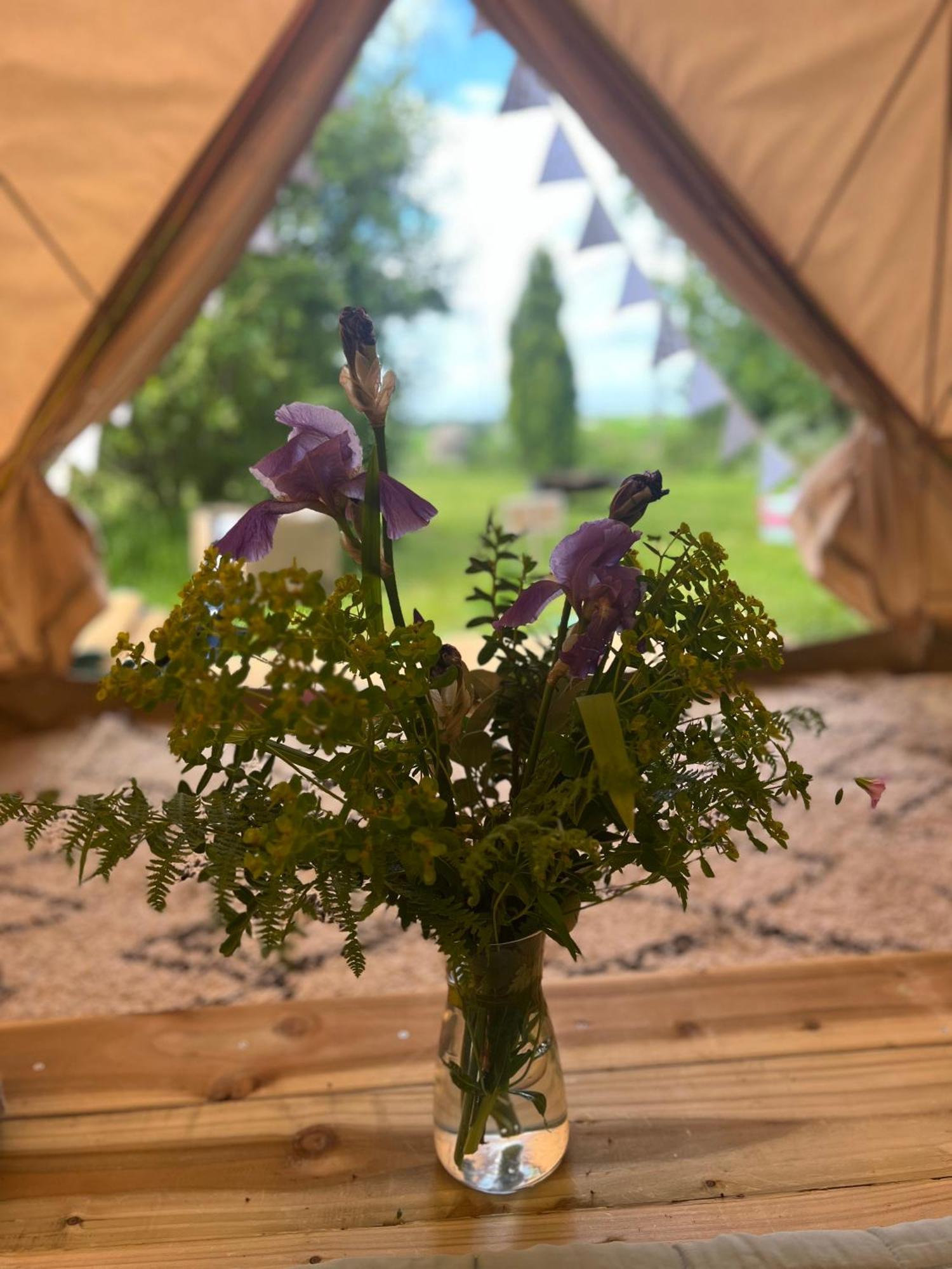 Bluebell Tent At Ballyward Croft Ardkeen Bagian luar foto